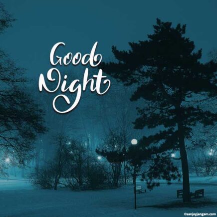 Good Night Images | 1000+ Good Night Photo | HeloPlus