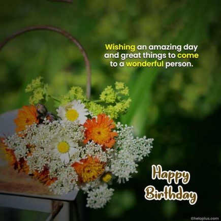 Birthday Wishes in English | 1100+ Birthday Status in English | HeloPlus