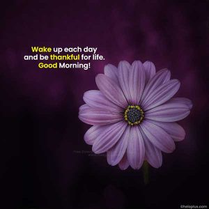 Good Morning Quotes in English | 1100+ Good Morning Wishes in English