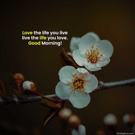 Good Morning Quotes in English | 1100+ Good Morning Wishes in English