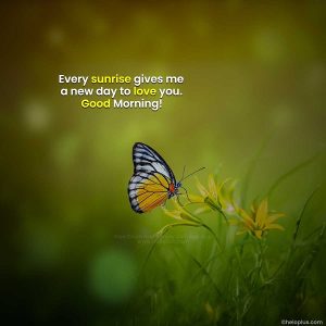 Good Morning Quotes in English | 4600+ Good Morning Wishes in English