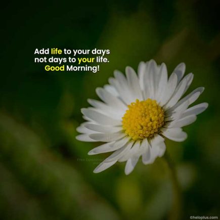 Good Morning Quotes in English | 1100+ Good Morning Wishes in English