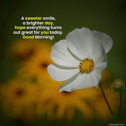 Good Morning Quotes in English | 4600+ Good Morning Wishes in English