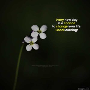 Good Morning Quotes in English | 1100+ Good Morning Wishes in English